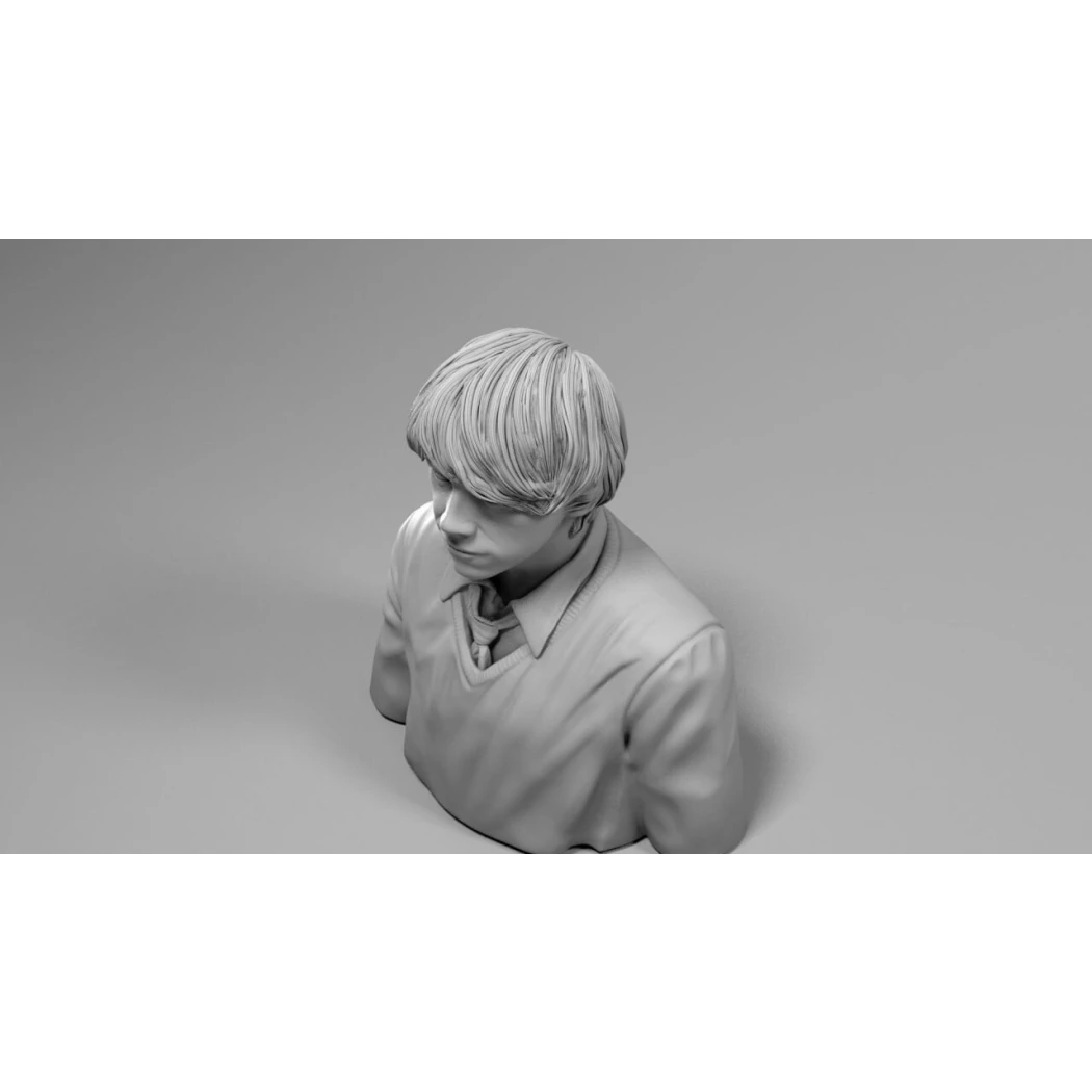 Digital STL Ron Weasley Harry Potter