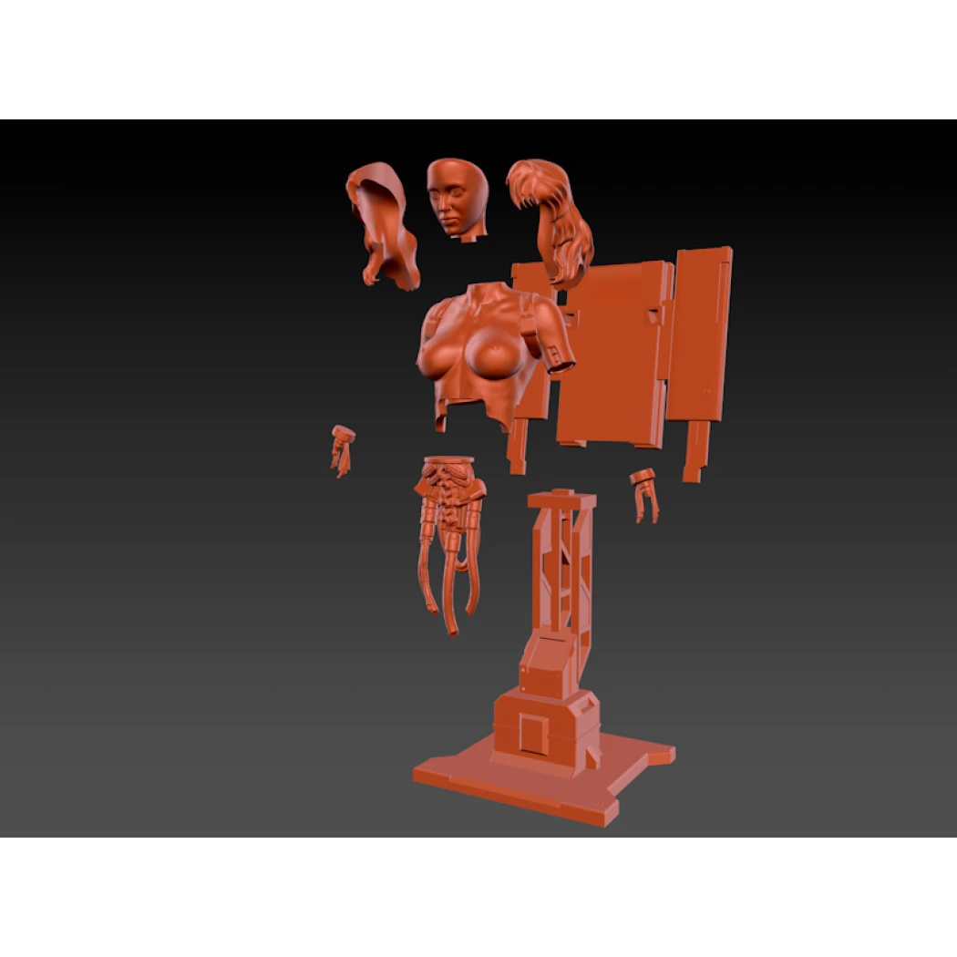 Digital STL Ghost in the shell Project