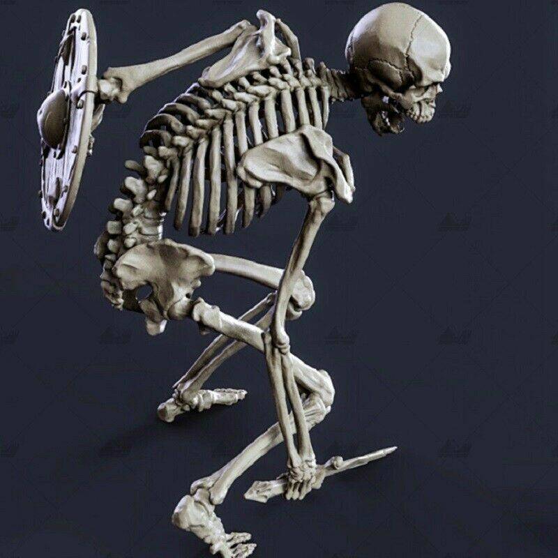 220mm 3D Print Model Kit Skeleton Cursed Warrior Unpainted A28 A28 - Model-Fan-Store