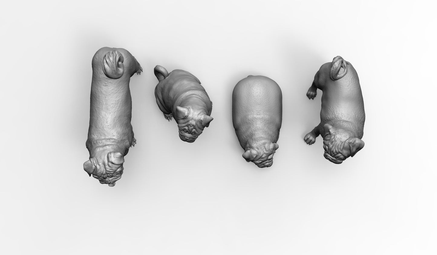 1/35 - 1/6 4pcs 3D Print Model Kit Animal Dogs Pets Pugs Unpainted