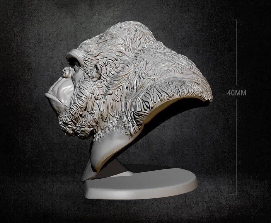 40mm BUST Resin Model Kit King Kong Gorilla Animal TD-2319 Unpainted - Model-Fan-Store