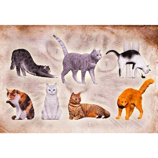 1/16 7pcs Resin Model Kit Animals Cats Unpainted