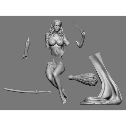 Digital STL Hermione Adult on the Broomstick