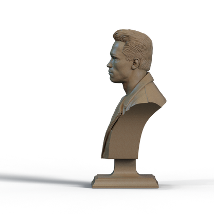 Digital STL Terminator Bust v3