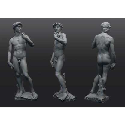 Digital STL David (Michelangelo)