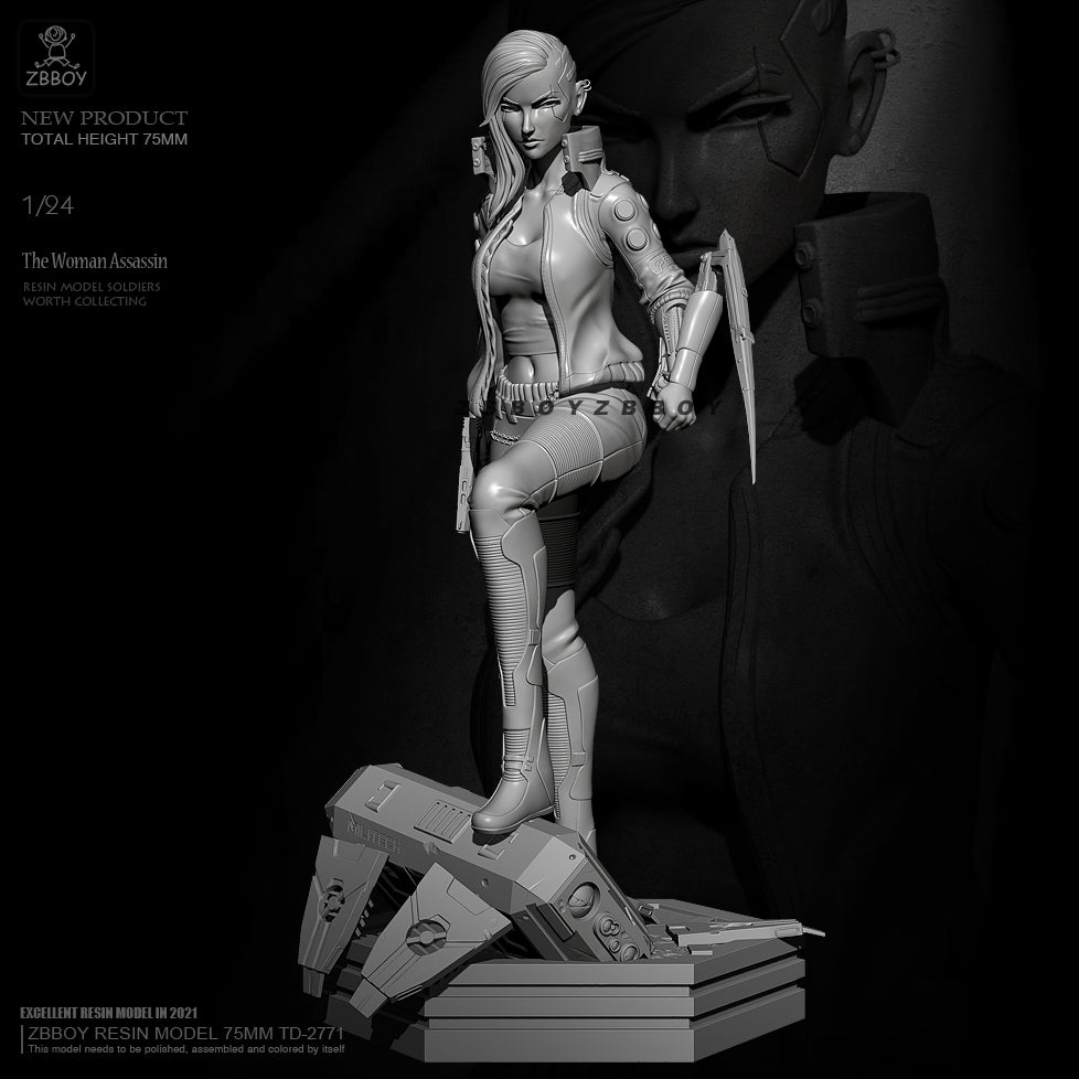 1/24 75mm Resin Cyberpunk Model Kit Beautiful Girl Woman Assassin Unpainted