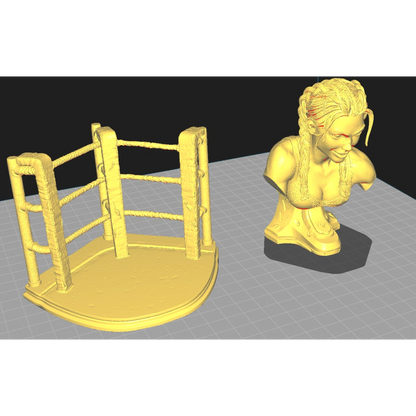 Digital STL Harley Bust v2