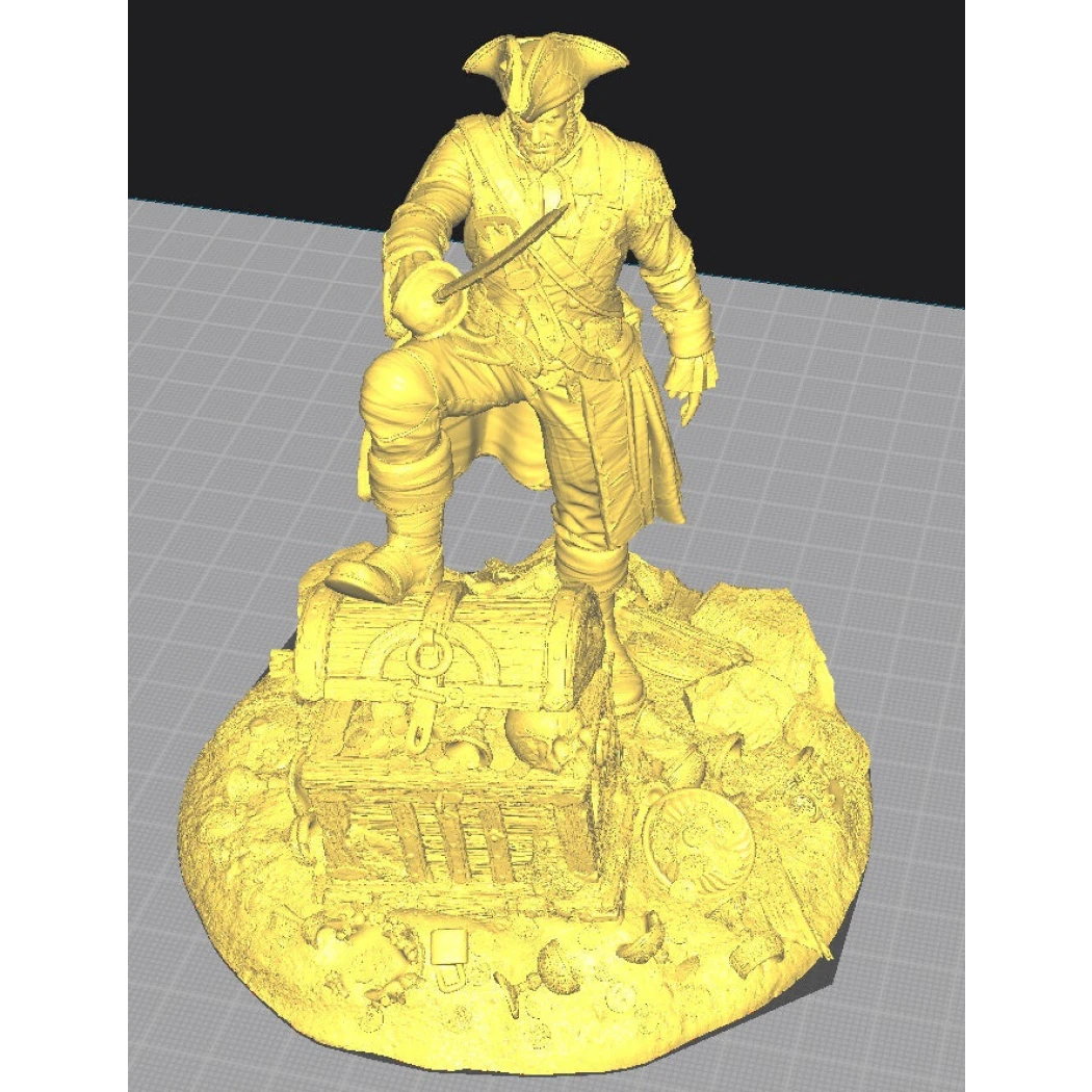 Digital STL Pirate