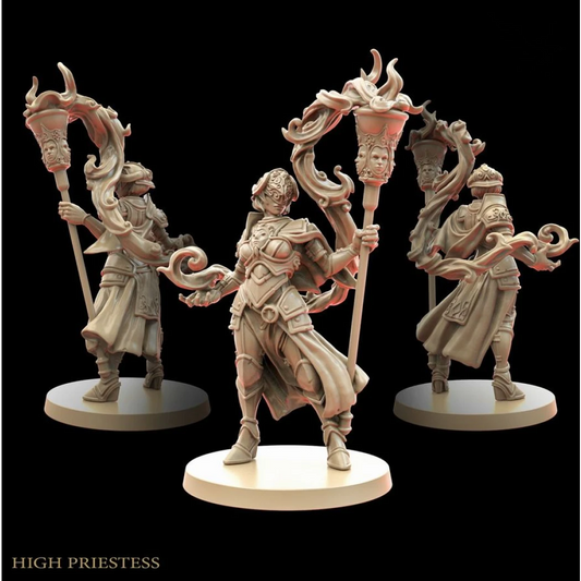 Digital STL Strife Torch High Priestess