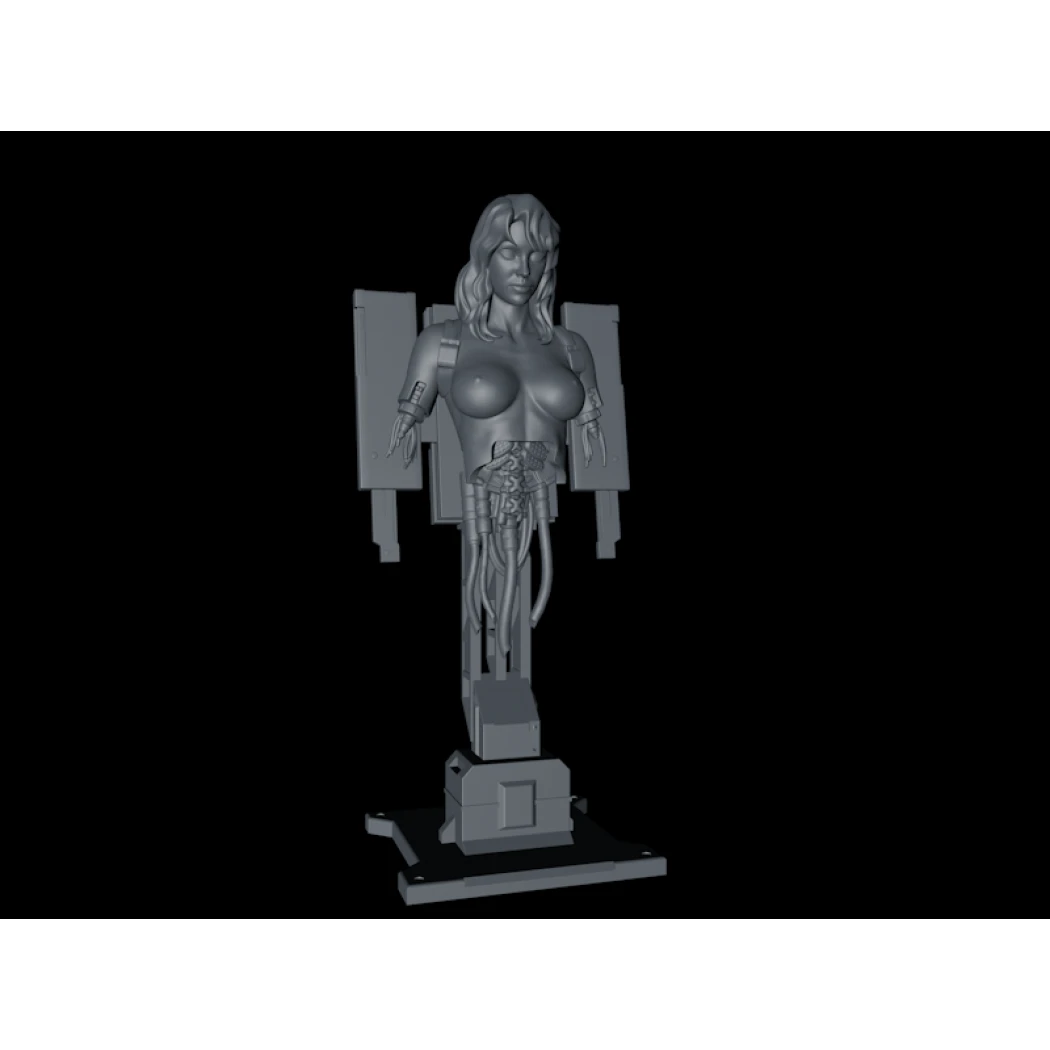 Digital STL Ghost in the shell Project