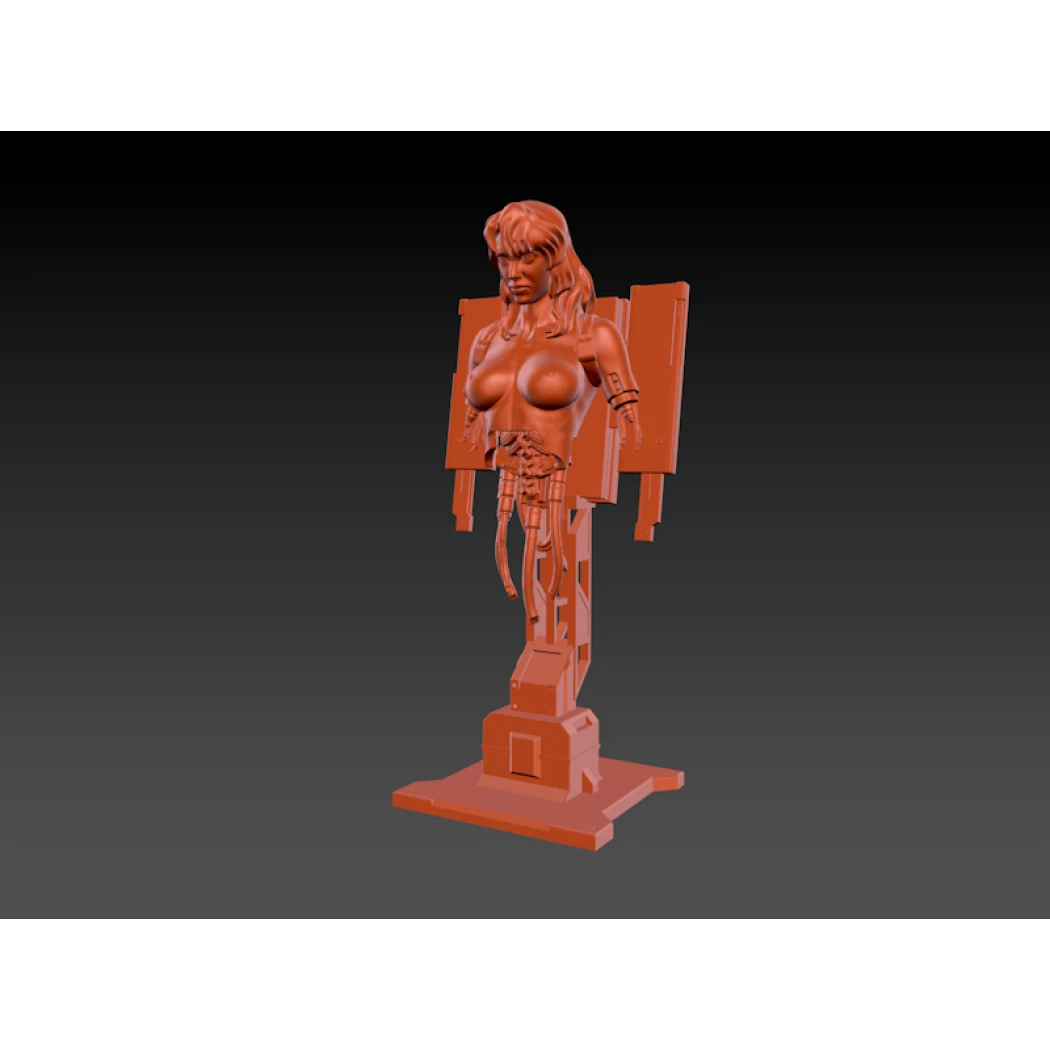 Digital STL Ghost in the shell Project