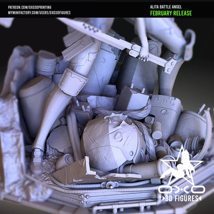 Digital STL Alita Battle Angel v3