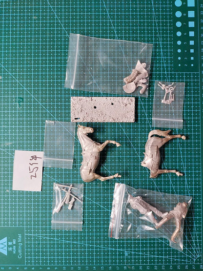 1/32 Resin Model Kit Napoleonic Wars Napoleon and the Soldier Unpainted