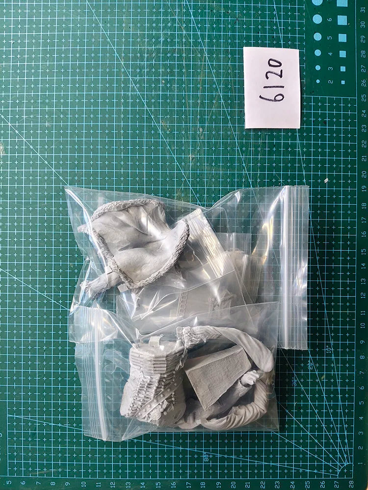 1/10 BUST Resin Model Kit Napoleonic Wars Officer Hussar Unpainted