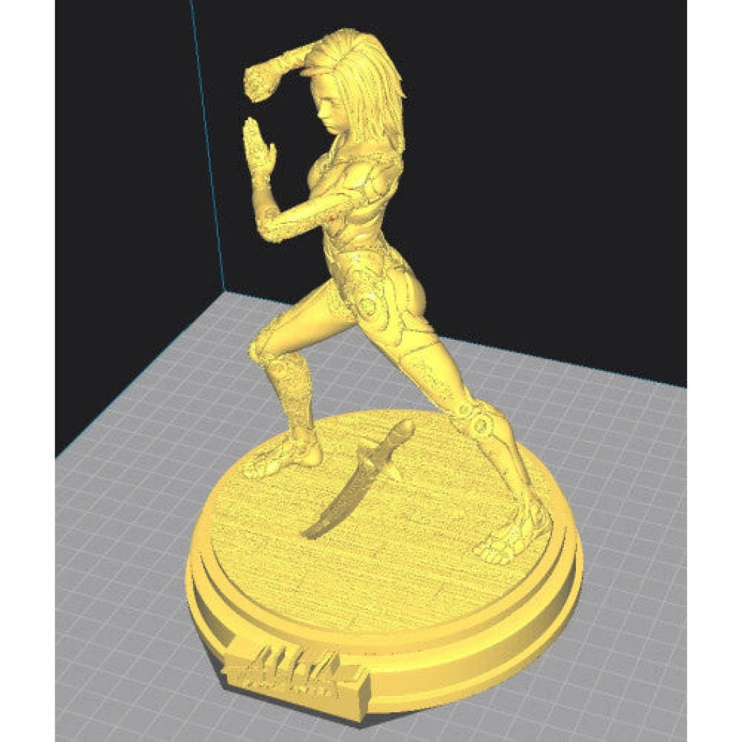 Digital STL Alita