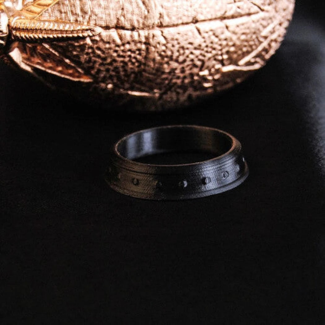 Digital STL Harry Potter - Golden Egg