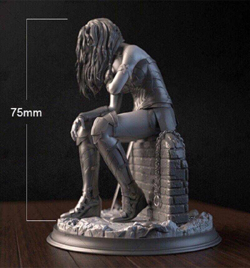 1/6 250mm 3D Print Superhero Model Kit Wonder Woman Beautiful Girl Unpainted - Model-Fan-Store