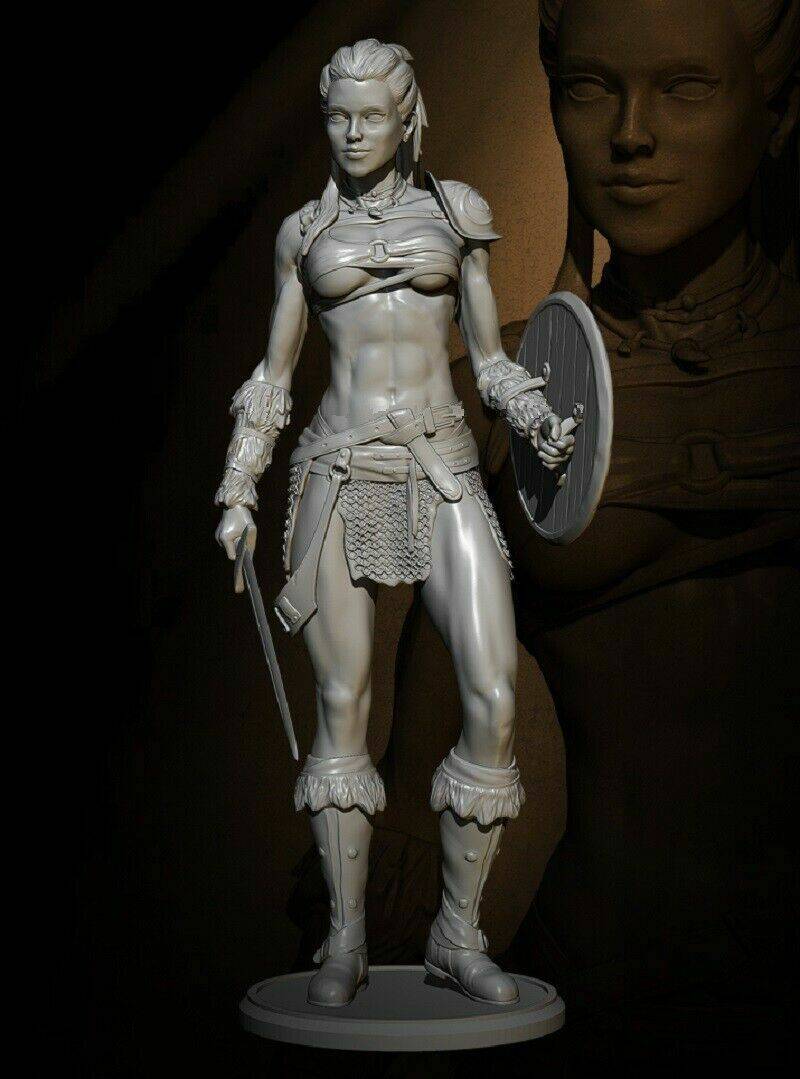 1/6 310mm 3D Print Model Kit Beautiful Girl Barbarian Nord Warrior Viking Unpainted - Model-Fan-Store