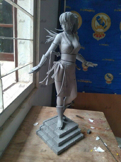 1/6 330mm 3D Print Model Kit Asian Beautiful Girl Woman Fighter Unpainted - Model-Fan-Store