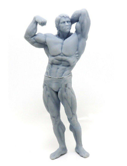 300mm 3D Print Model Kit Mr. Universe Arnold Celebrity Unpainted - Model-Fan-Store