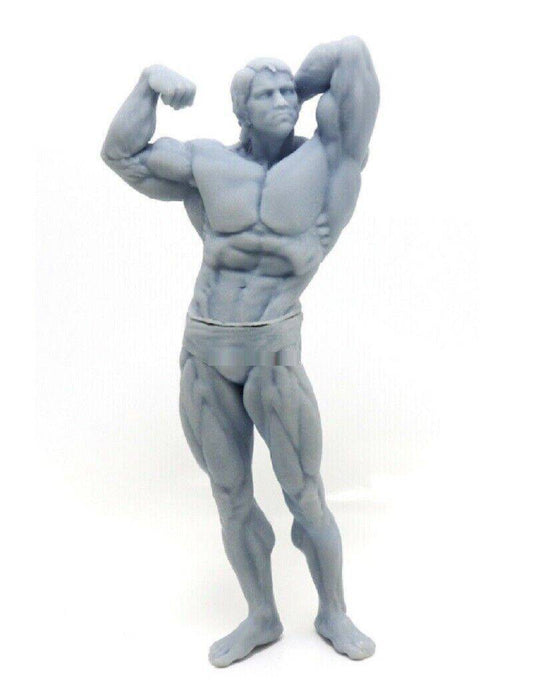 400mm 3D Print Model Kit Mr. Universe Arnold Celebrity Unpainted - Model-Fan-Store