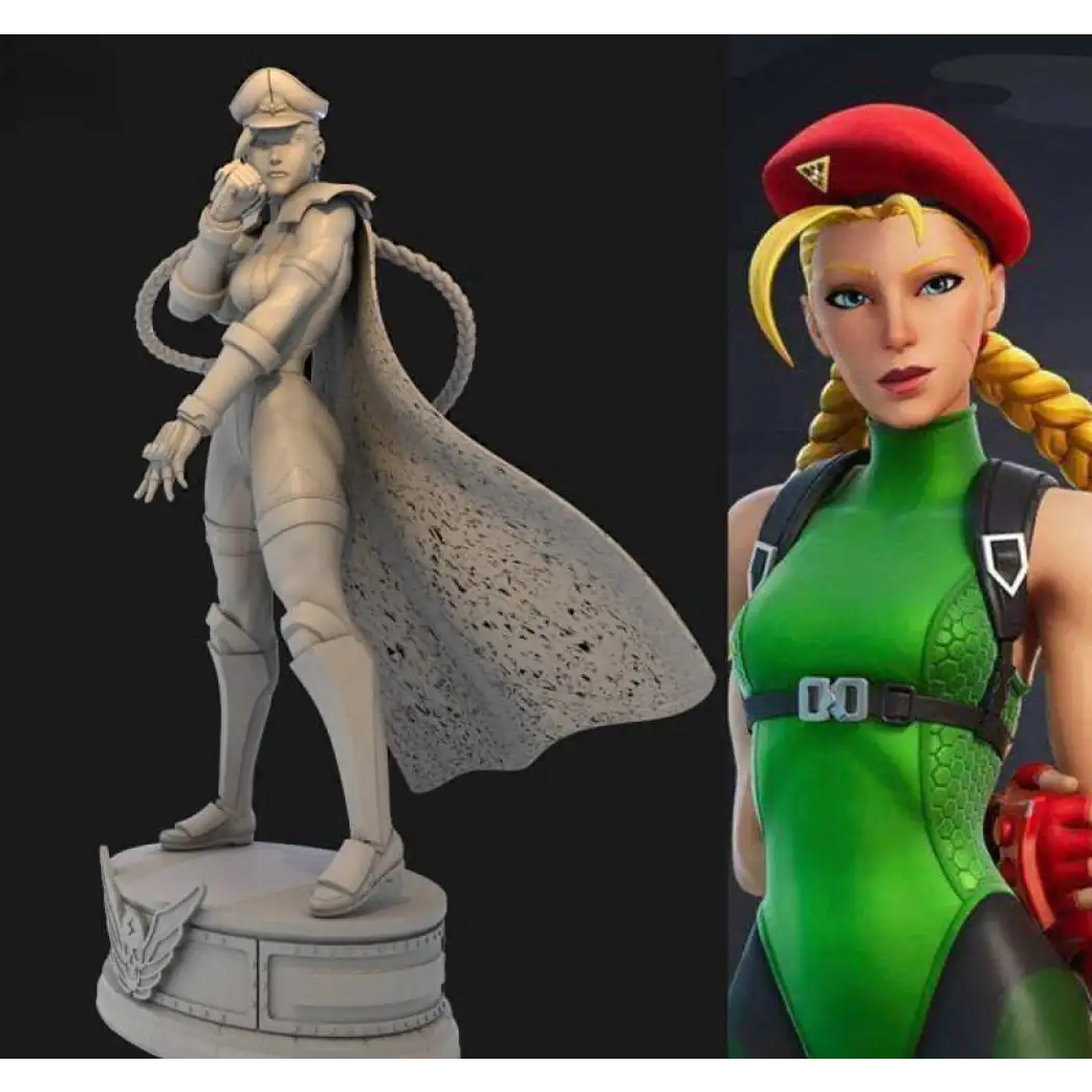 1/24 3D Print Model Kit Beautiful Girl Street Fighter Shadow Unpainted ...