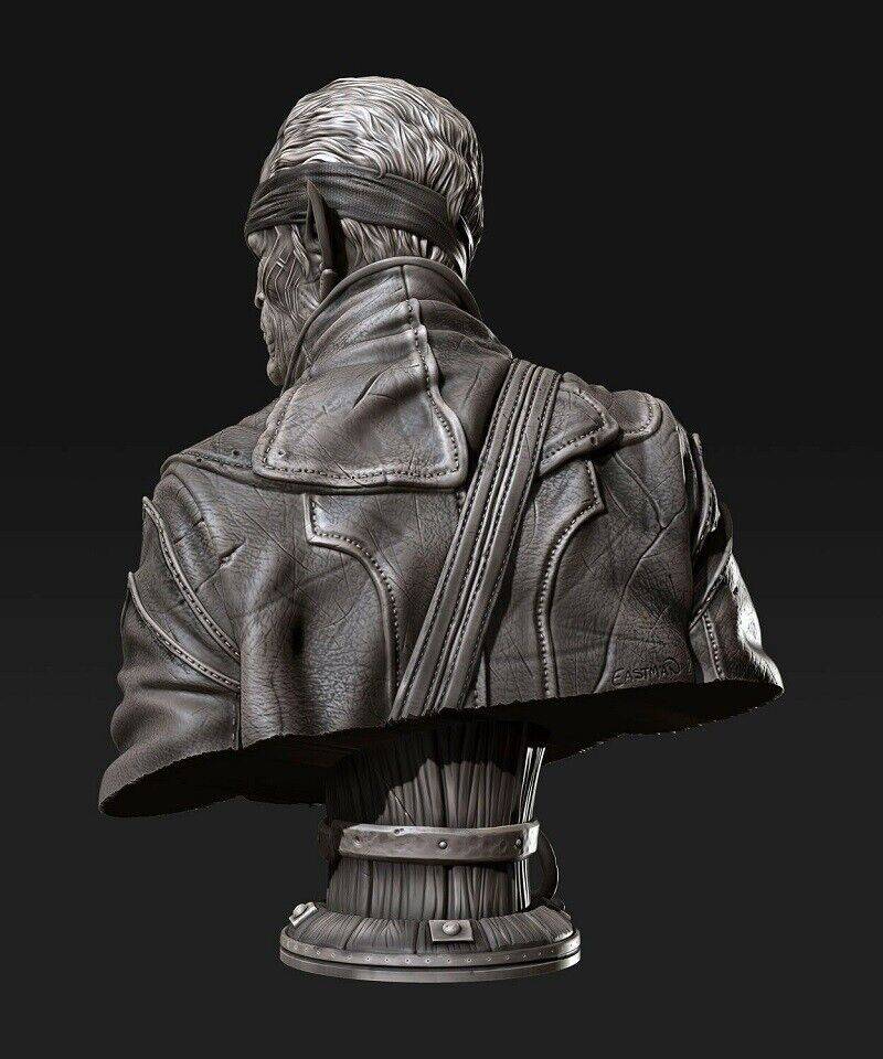 180mm BUST 3D Print Model Kit Warrior Elf Assassin Unpainted - Model-Fan-Store