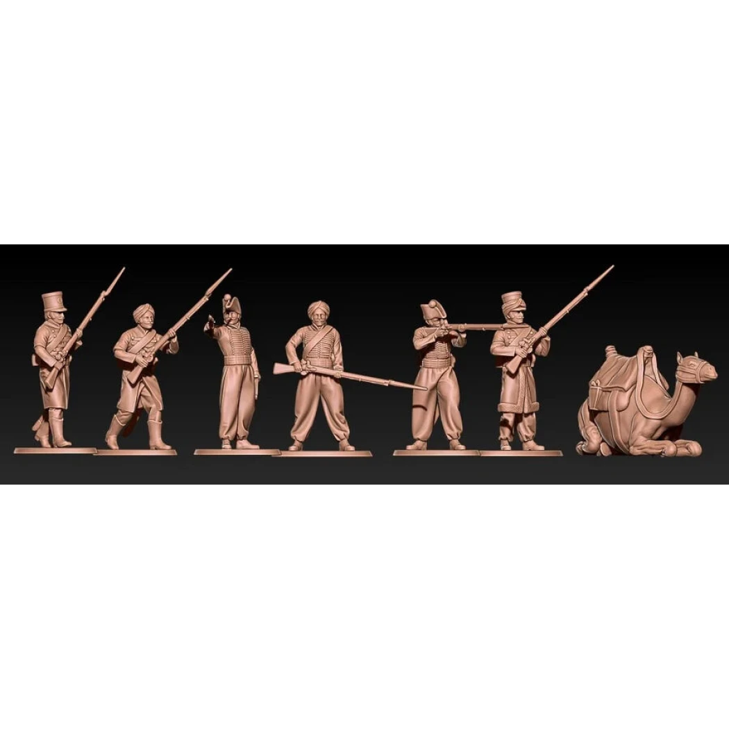 Dromadaire démonté