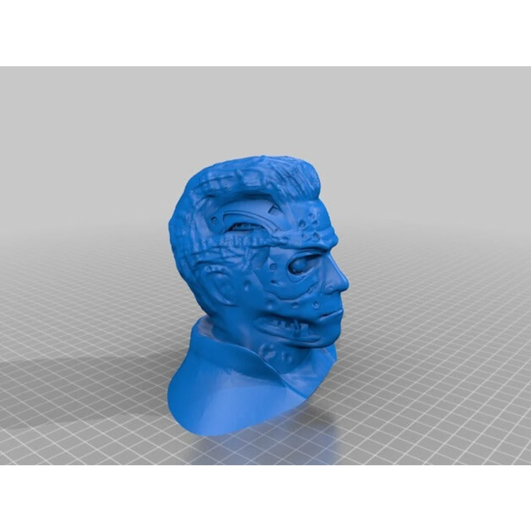 Digital STL T-800 TERMINATOR Damage Bust