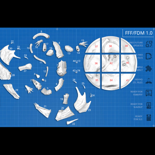 Digital STL The lord of the rings - Smaug