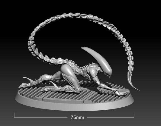 75mm 3D Print Model Kit Warrior Alien Unpainted A28 A28 - Model-Fan-Store