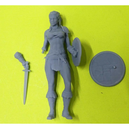 1/18 100mm 3D Print Model Kit Beautiful Girl Barbarian Nord Warrior Viking Unpainted - Model-Fan-Store