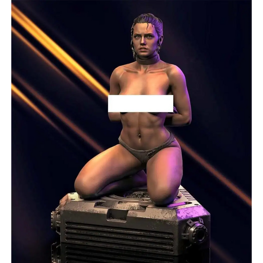 1/18 60mm 3D Print Model Kit Modern Nudes Beautiful Girl Hostage Fantasy Unpainted - Model-Fan-Store