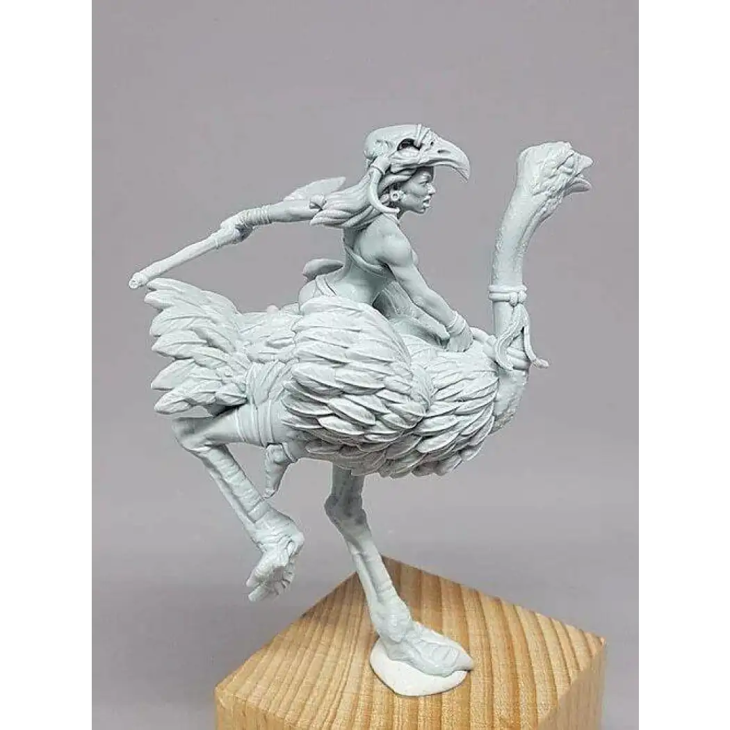 1/24 Resin Model Kit Beautiful Girl Barbarian Ostrich Rider Unpainted - Model-Fan-Store