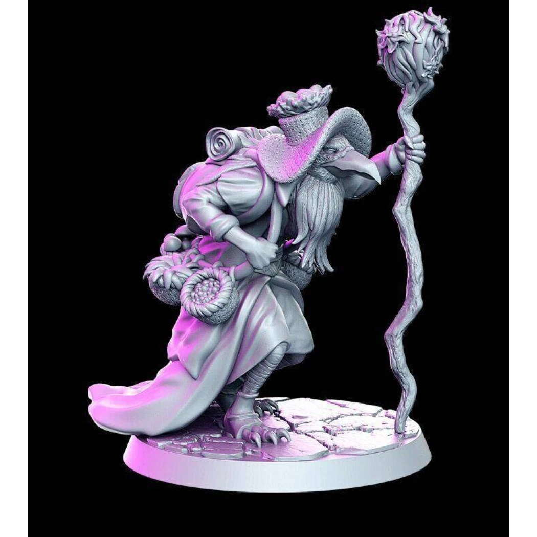 1/32 56mm 3D Print Model Kit Sorcerer Bird Unpainted - Model-Fan-Store