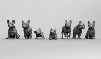 1/35 - 1/6 7pcs 3D Print Model Kit Animal Dogs Pets French Bulldog Unpainted