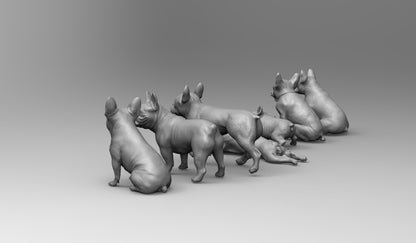 1/35 - 1/6 7pcs 3D Print Model Kit Animal Dogs Pets French Bulldog Unpainted