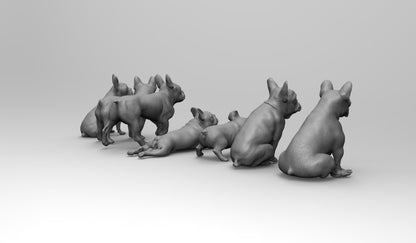 1/35 - 1/6 7pcs 3D Print Model Kit Animal Dogs Pets French Bulldog Unpainted