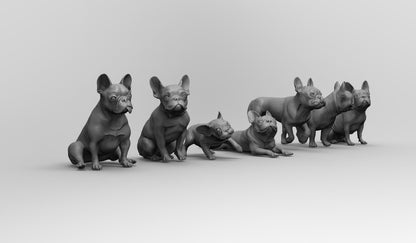 1/35 - 1/6 7pcs 3D Print Model Kit Animal Dogs Pets French Bulldog Unpainted