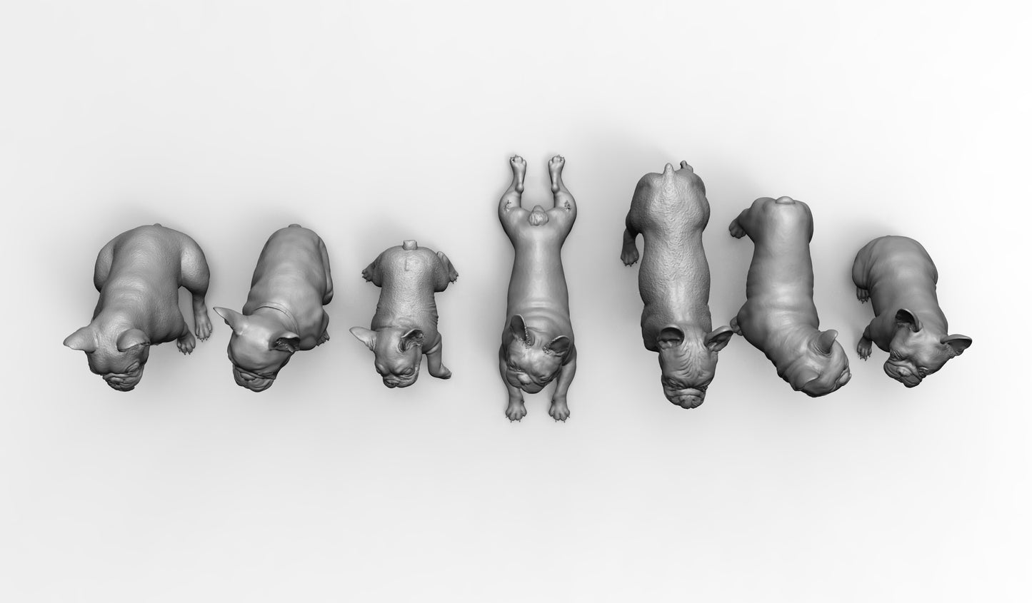 1/35 - 1/6 7pcs 3D Print Model Kit Animal Dogs Pets French Bulldog Unpainted