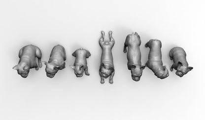 1/35 - 1/6 7pcs 3D Print Model Kit Animal Dogs Pets French Bulldog Unpainted