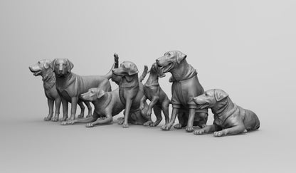 1/35 - 1/6 7pcs 3D Print Model Kit Animal Dogs Pets Labrador Retriever Unpainted
