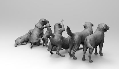 1/35 - 1/6 7pcs 3D Print Model Kit Animal Dogs Pets Labrador Retriever Unpainted