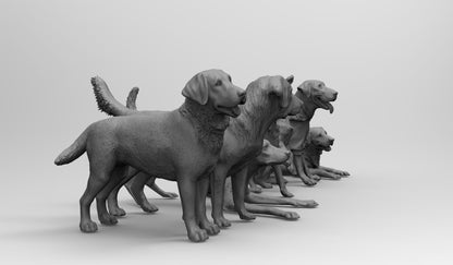 1/35 - 1/6 7pcs 3D Print Model Kit Animal Dogs Pets Labrador Retriever Unpainted