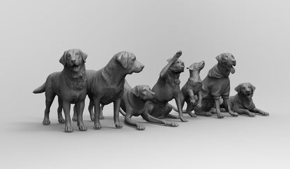 1/35 - 1/6 7pcs 3D Print Model Kit Animal Dogs Pets Labrador Retriever Unpainted