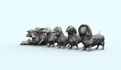 1/35 - 1/6 7pcs 3D Print Model Kit Animal Dogs Pets Dachshund Unpainted