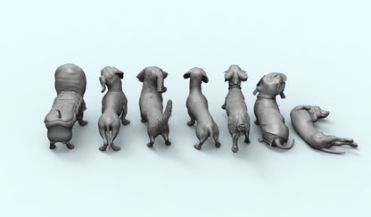1/35 - 1/6 7pcs 3D Print Model Kit Animal Dogs Pets Dachshund Unpainted