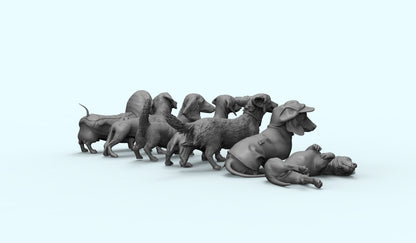 1/35 - 1/6 7pcs 3D Print Model Kit Animal Dogs Pets Dachshund Unpainted