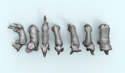 1/35 - 1/6 7pcs 3D Print Model Kit Animal Dogs Pets Dachshund Unpainted