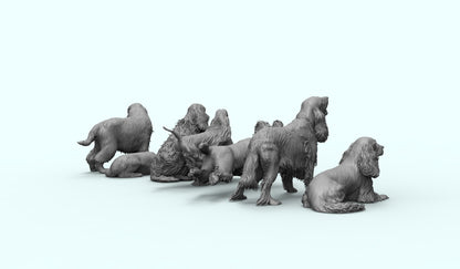 1/35 - 1/6 7pcs 3D Print Model Kit Animal Dogs Pets Spaniel Unpainted
